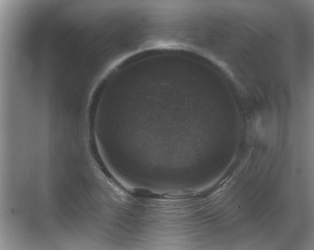 X0000070421319200606161427