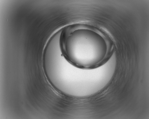 X0000070421324200606161428