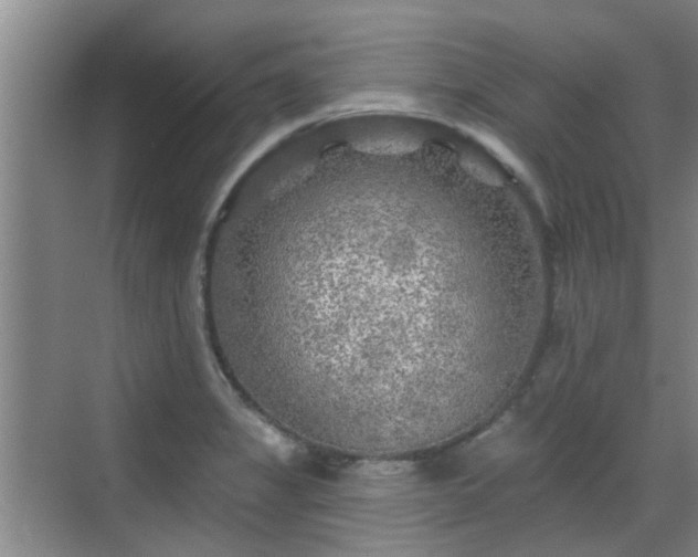 X0000070421325200606161428