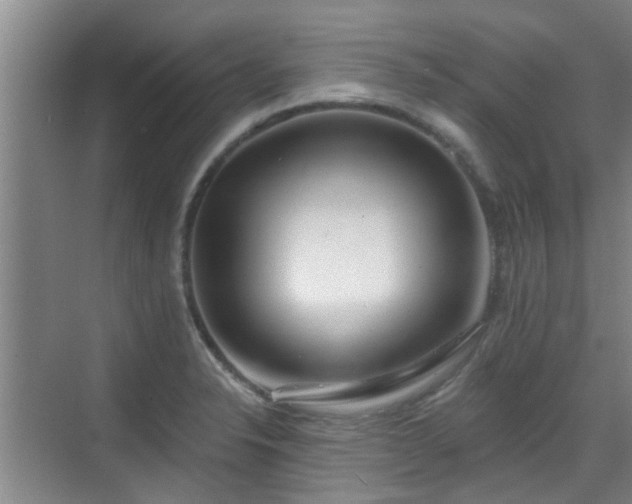 X0000070421326200606161428