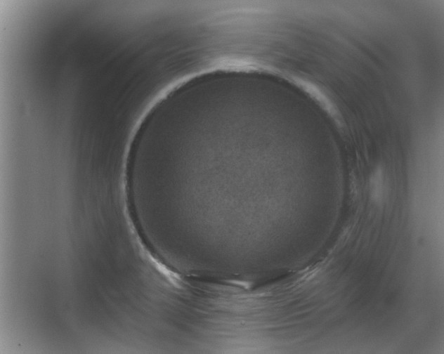 X0000070421327200606161428