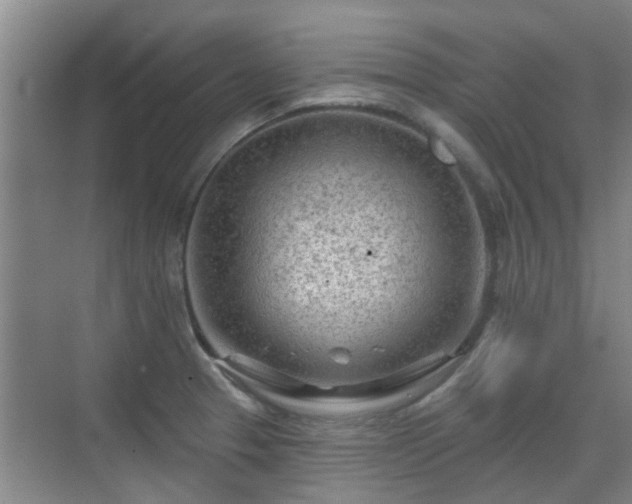 X0000070421329200606161428