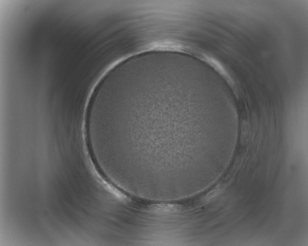 X0000070421331200606161428