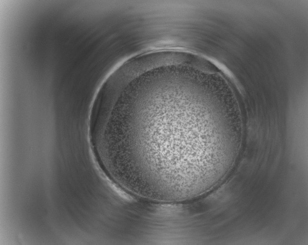 X0000070421333200606161428