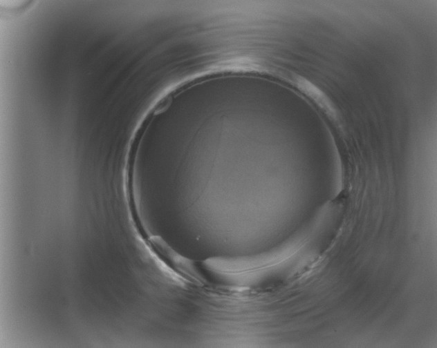 X0000070421334200606161428