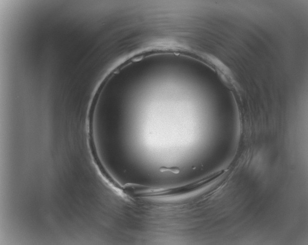 X0000070421335200606161428