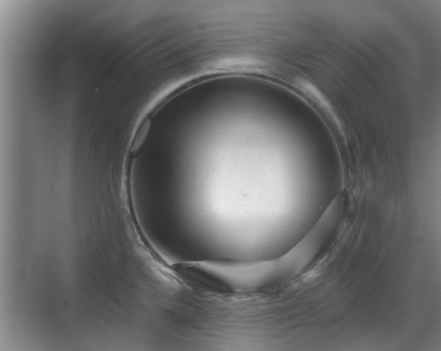 X0000070421336200606161428