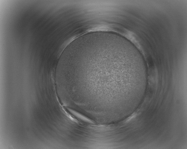 X0000070421337200606161428