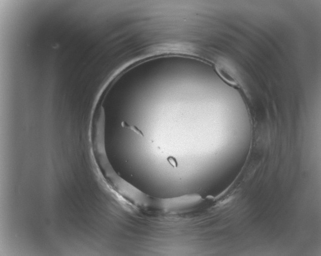 X0000070421339200606161428