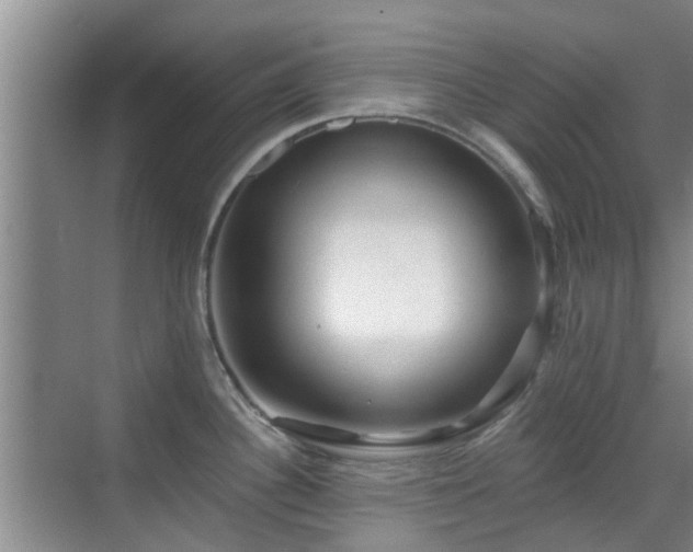 X0000070421340200606161428