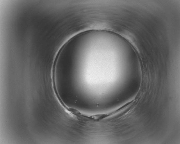 X0000070421343200606161428