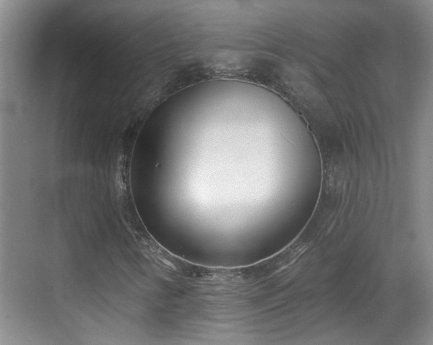 X0000070421346200606161427