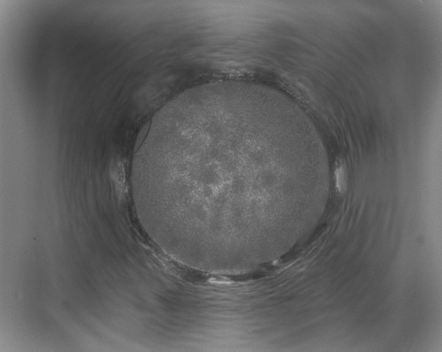 X0000070421347200606161427