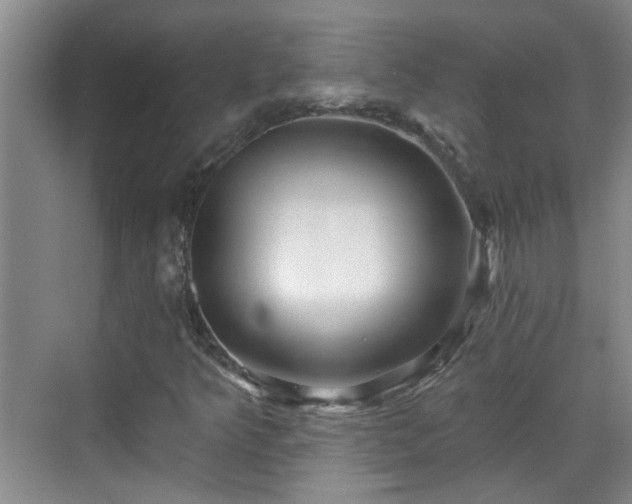 X0000070421349200606161427