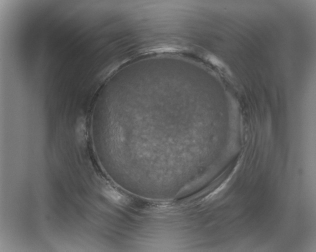 X0000070421353200606161427