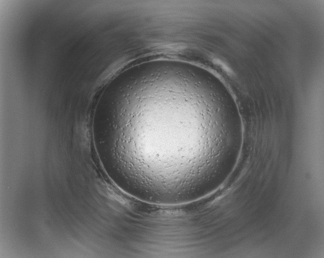 X0000070421354200606161427