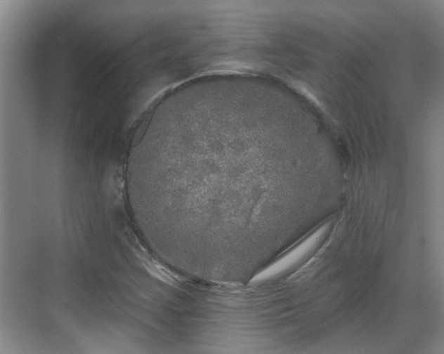 X0000070421355200606161427