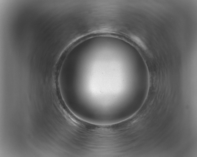 X0000070421356200606161427