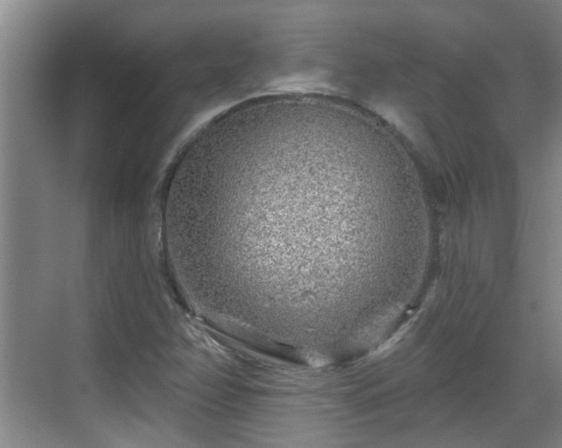 X0000070421358200606161427