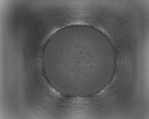 X0000070421359200606161427