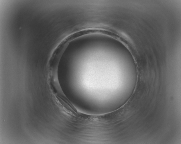 X0000070421360200606161427