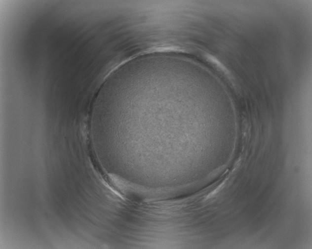 X0000070421361200606161427