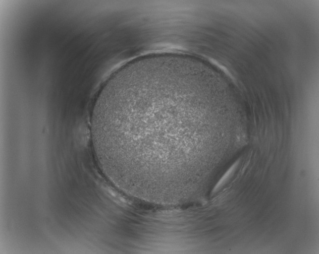 X0000070421363200606161427