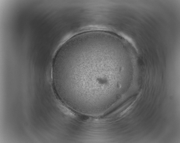 X0000070421365200606161427