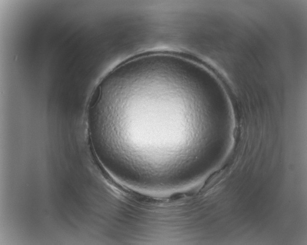 X0000070421367200606161427