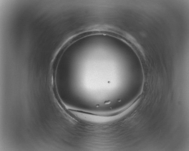 X0000070421368200606161427