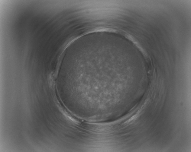 X0000070421369200606161427