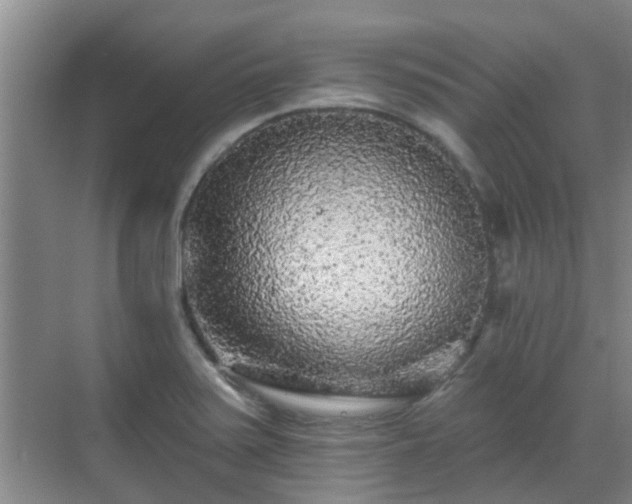 X0000070421371200606161427