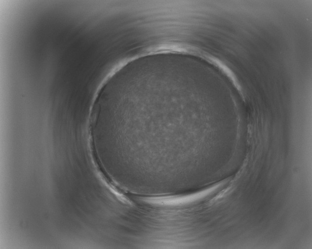 X0000070421373200606161427