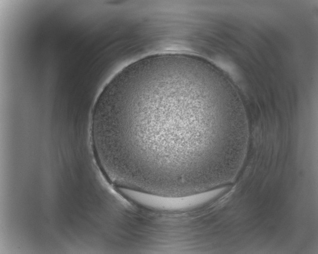 X0000070421374200606161427