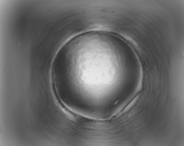 X0000070421375200606161427