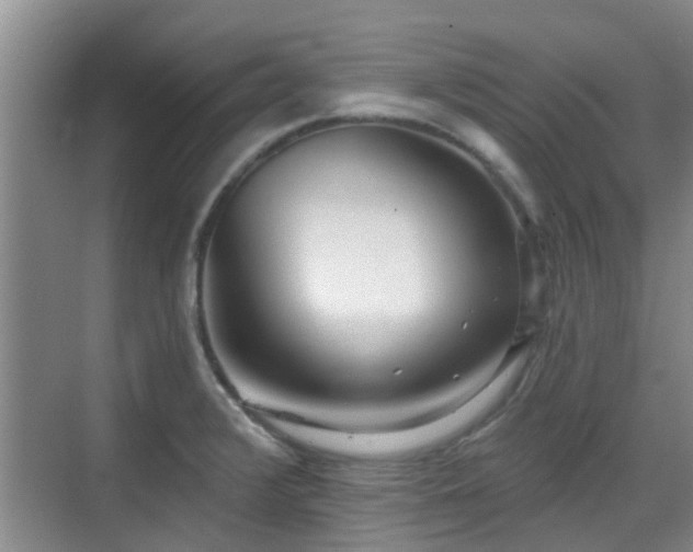 X0000070421376200606161427