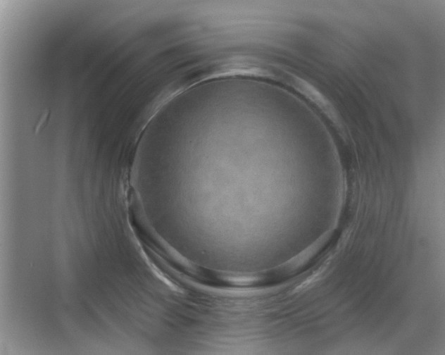 X0000070421377200606161427