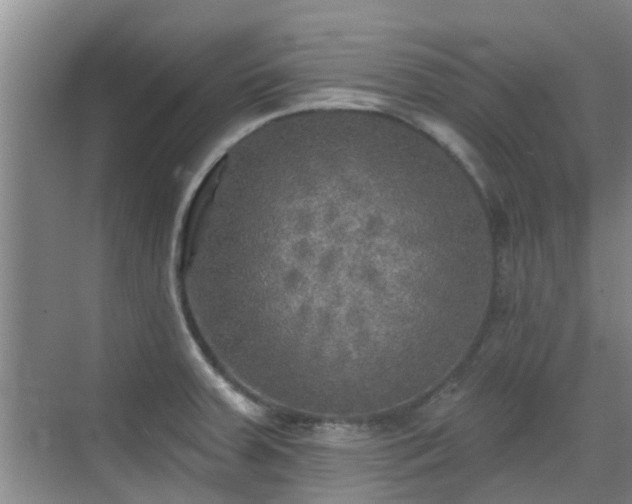 X0000070421379200606161427