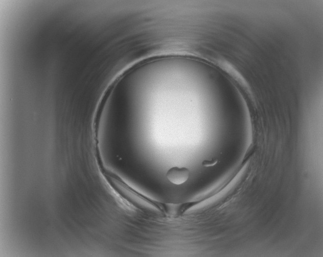 X0000070421380200606161427