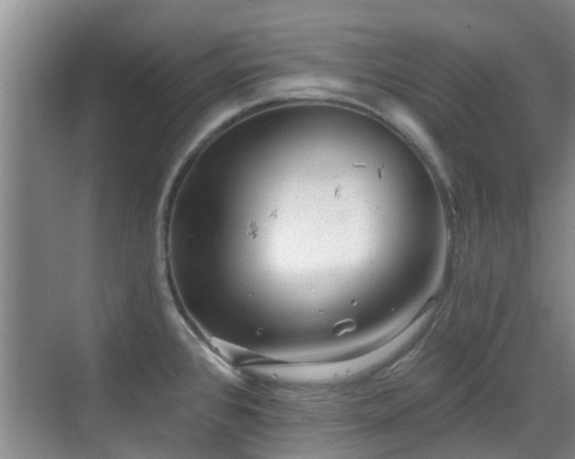 X0000070421384200606161426