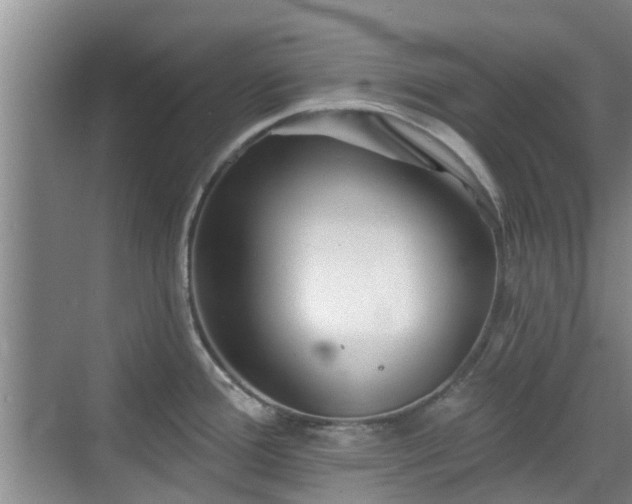 X0000070421388200606161426