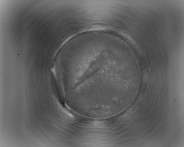 X0000070421409200606161426