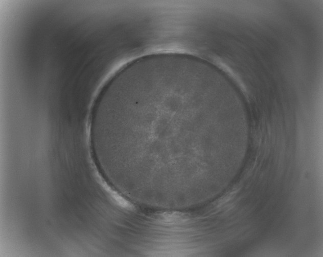 X0000070421416200606161426