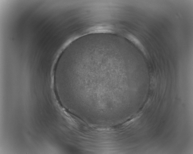 X0000070421419200606161426