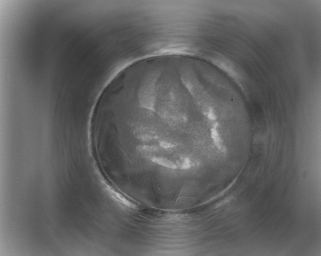 X0000070421423200606161426