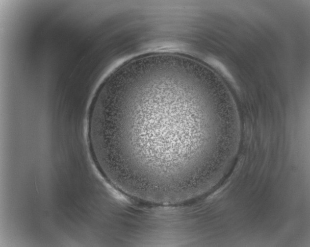 X0000070421424200606161426