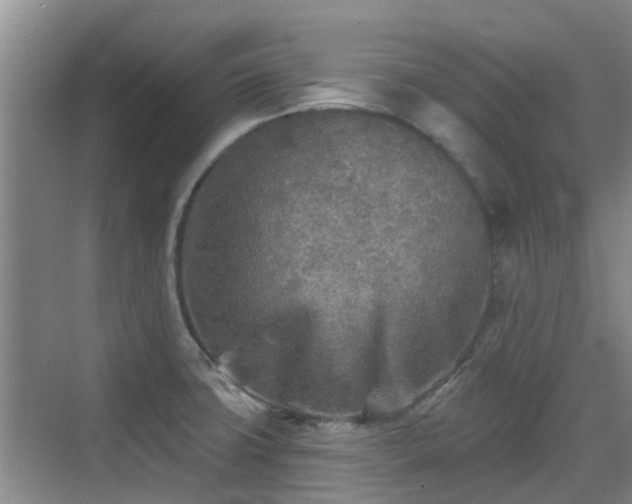 X0000070421427200606161426