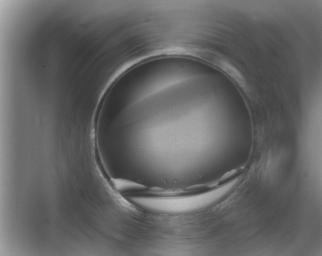 X0000070421428200606161426