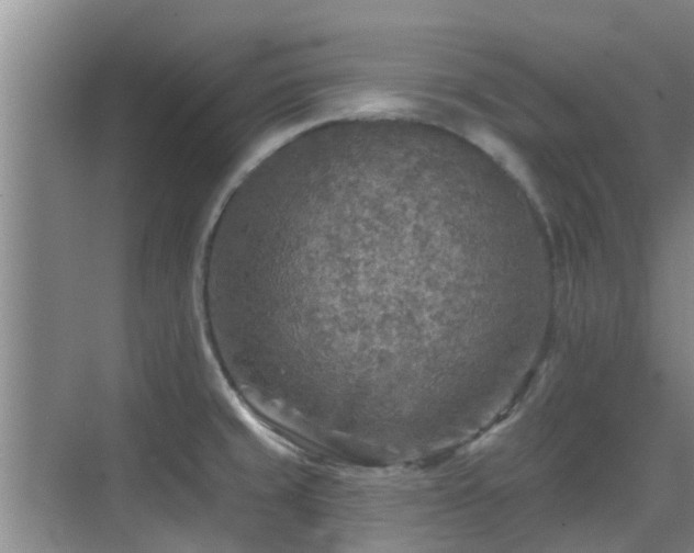 X0000070421429200606161426