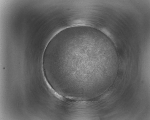 X0000070421431200606161426